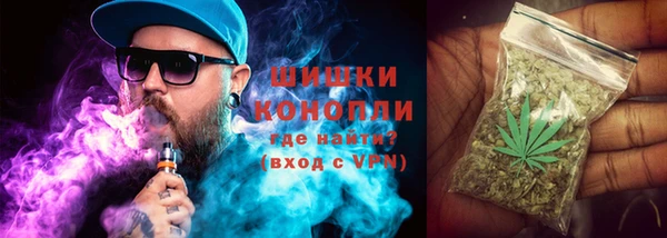 сатива Гусев
